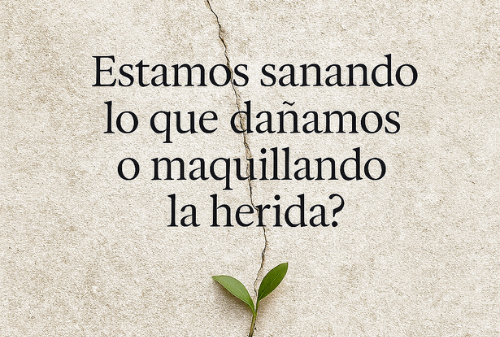 Probióticos en arquitectura: entre la biotecnología y la ética del bienestar